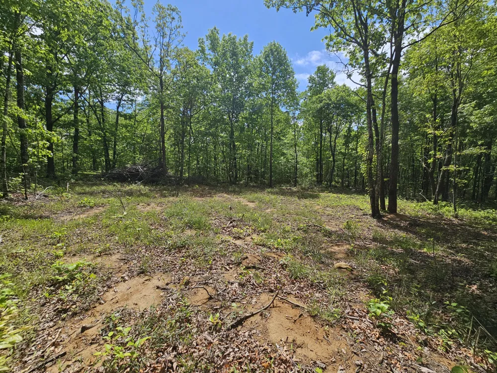 488 Hunters Trail Way Altamont, TN 37301