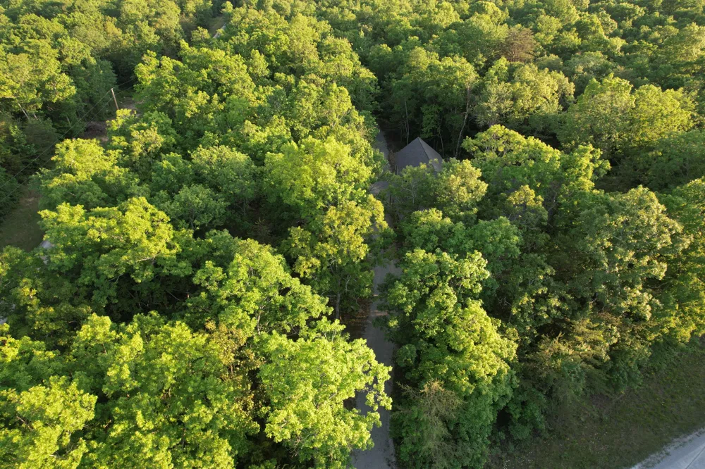 488 Hunters Trail Way Altamont, TN 37301