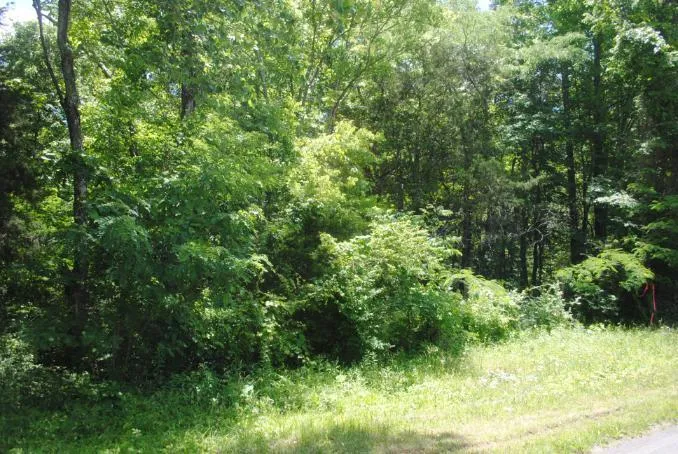 S Marble Top Road Chickamauga, GA 30707