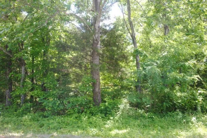 S Marble Top Road Chickamauga, GA 30707