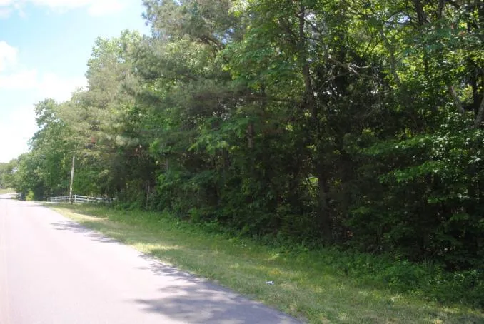 S Marble Top Road Chickamauga, GA 30707