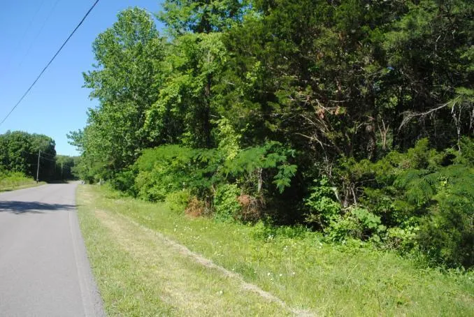 S Marble Top Road Chickamauga, GA 30707