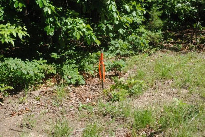 S Marble Top Road Chickamauga, GA 30707