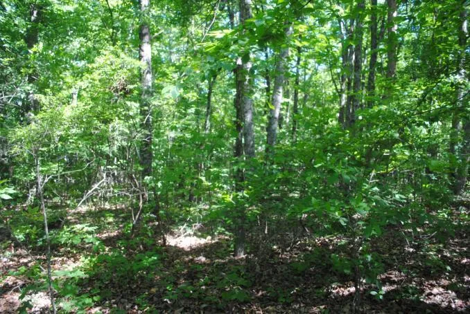 S Marble Top Road Chickamauga, GA 30707