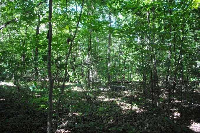 S Marble Top Road Chickamauga, GA 30707