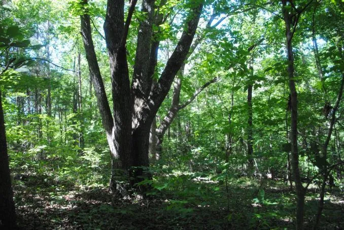 S Marble Top Road Chickamauga, GA 30707