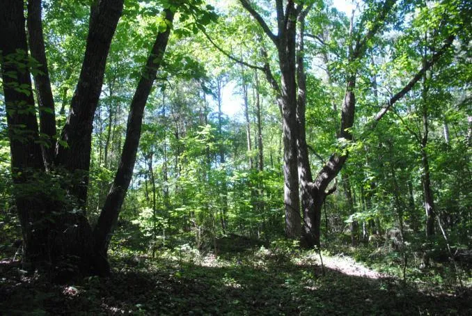 S Marble Top Road Chickamauga, GA 30707