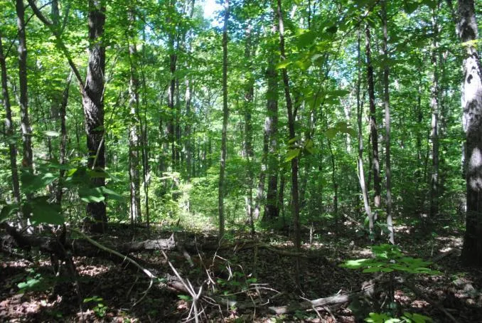 S Marble Top Road Chickamauga, GA 30707