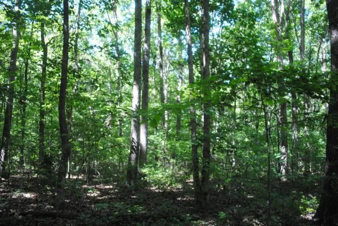 S Marble Top Road Chickamauga, GA 30707