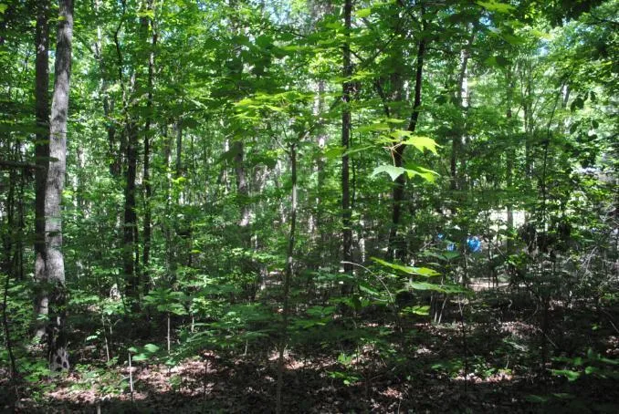 S Marble Top Road Chickamauga, GA 30707