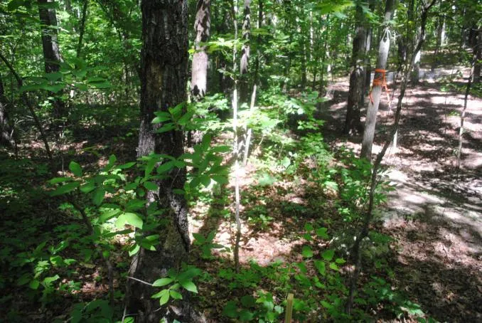 S Marble Top Road Chickamauga, GA 30707