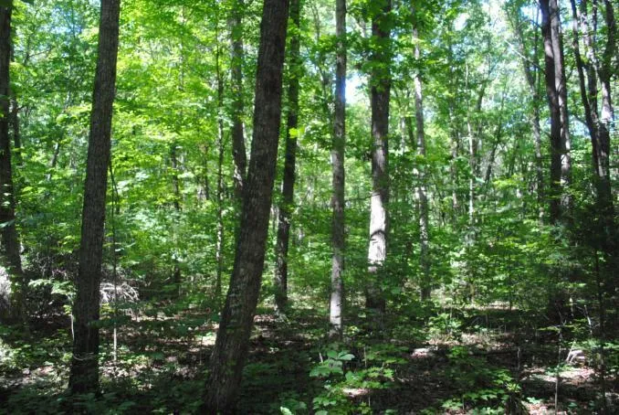 S Marble Top Road Chickamauga, GA 30707