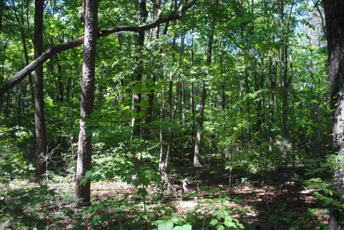 S Marble Top Road Chickamauga, GA 30707