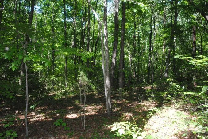 S Marble Top Road Chickamauga, GA 30707