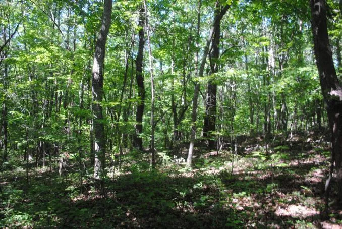 S Marble Top Road Chickamauga, GA 30707