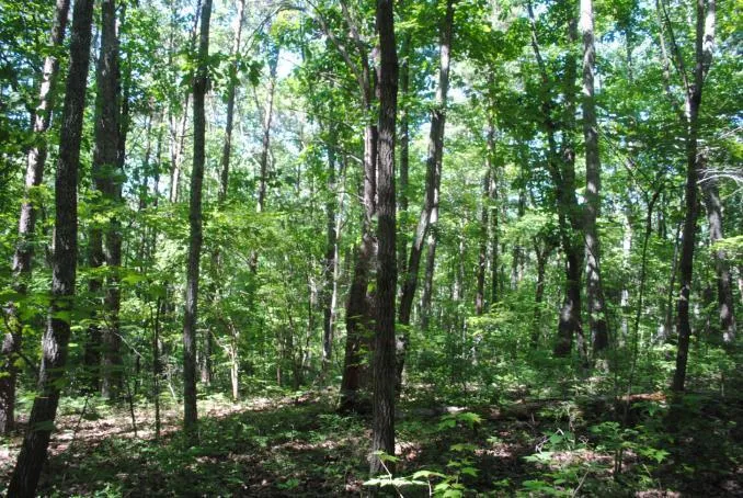 S Marble Top Road Chickamauga, GA 30707