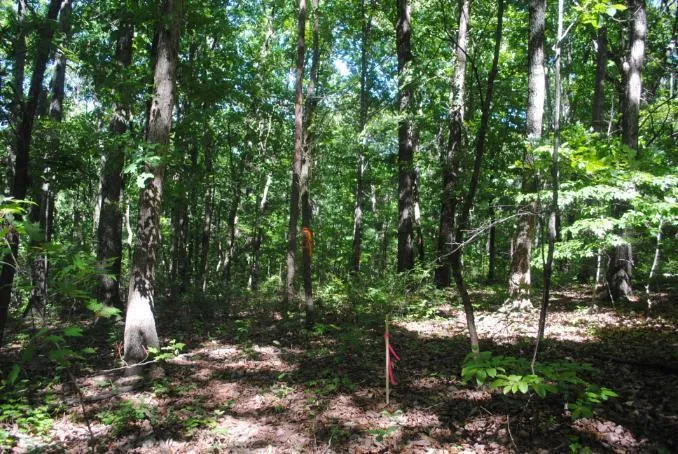 S Marble Top Road Chickamauga, GA 30707