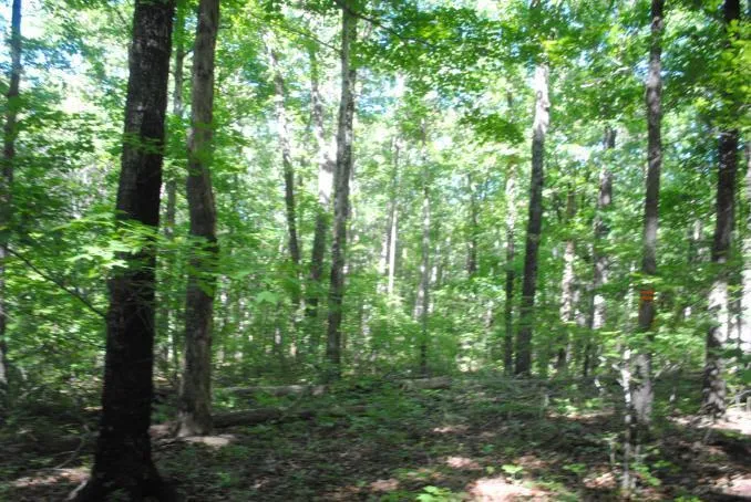 S Marble Top Road Chickamauga, GA 30707