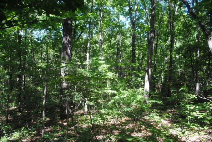 S Marble Top Road Chickamauga, GA 30707