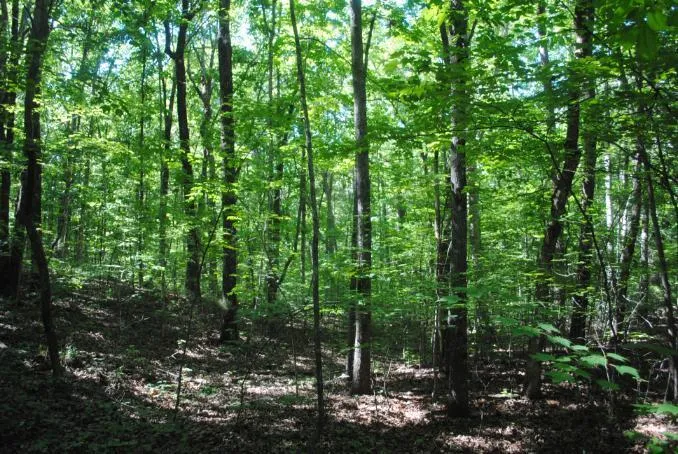 S Marble Top Road Chickamauga, GA 30707