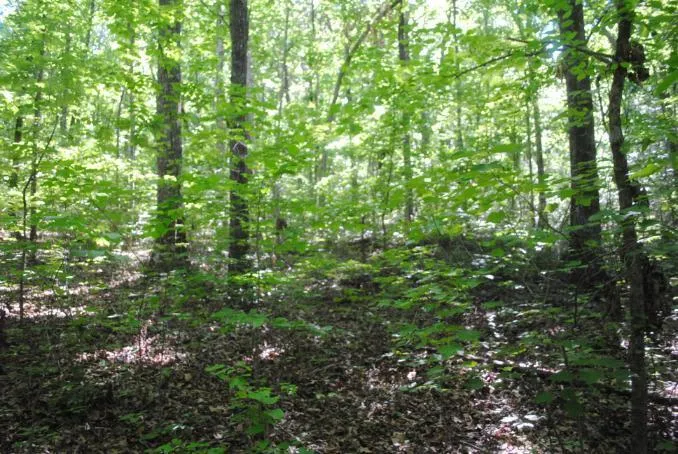 S Marble Top Road Chickamauga, GA 30707
