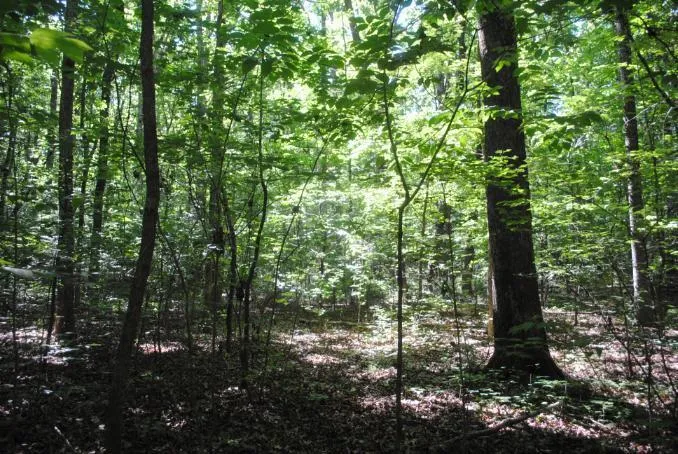 S Marble Top Road Chickamauga, GA 30707