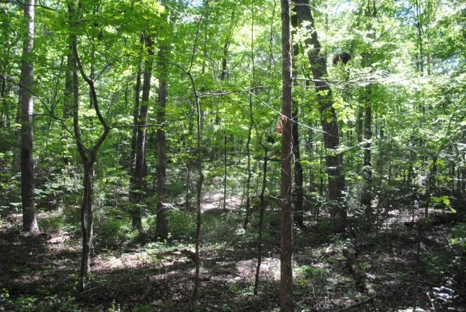 S Marble Top Road Chickamauga, GA 30707