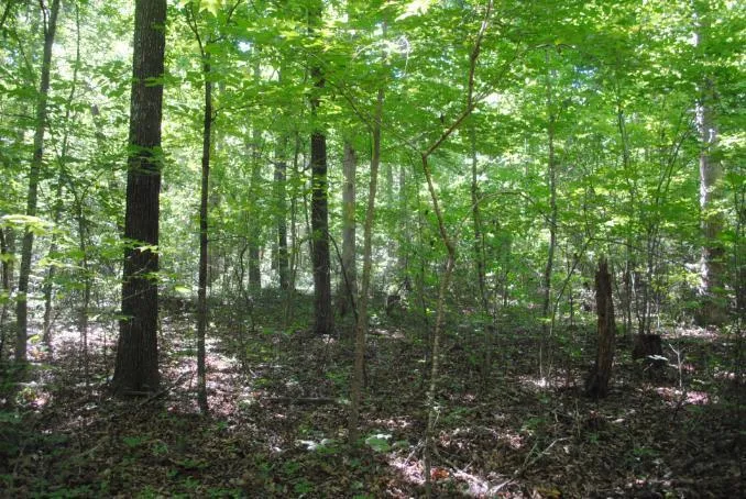 S Marble Top Road Chickamauga, GA 30707