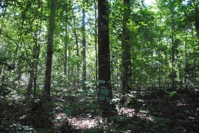 S Marble Top Road Chickamauga, GA 30707