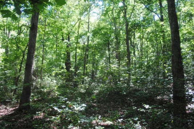 S Marble Top Road Chickamauga, GA 30707