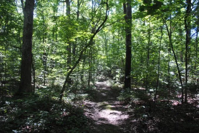 S Marble Top Road Chickamauga, GA 30707