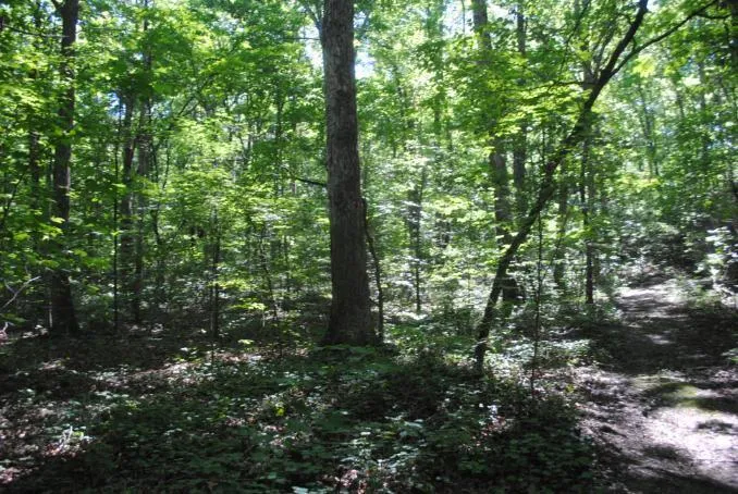 S Marble Top Road Chickamauga, GA 30707