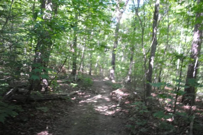 S Marble Top Road Chickamauga, GA 30707
