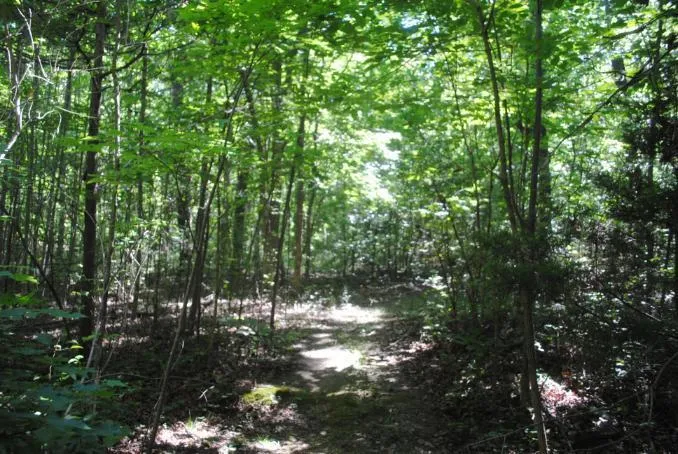 S Marble Top Road Chickamauga, GA 30707