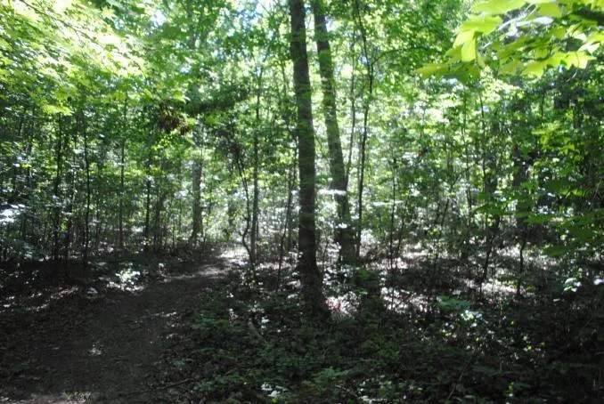 S Marble Top Road Chickamauga, GA 30707