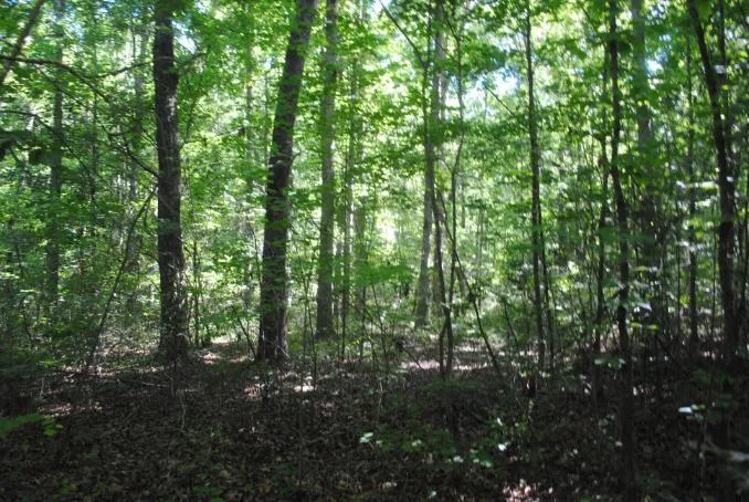 S Marble Top Road Chickamauga, GA 30707