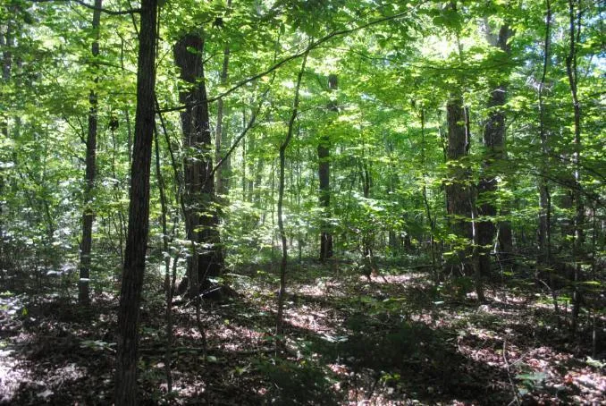 S Marble Top Road Chickamauga, GA 30707