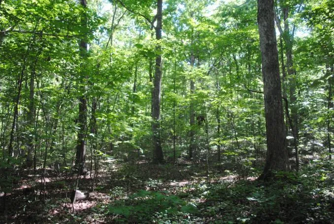 S Marble Top Road Chickamauga, GA 30707