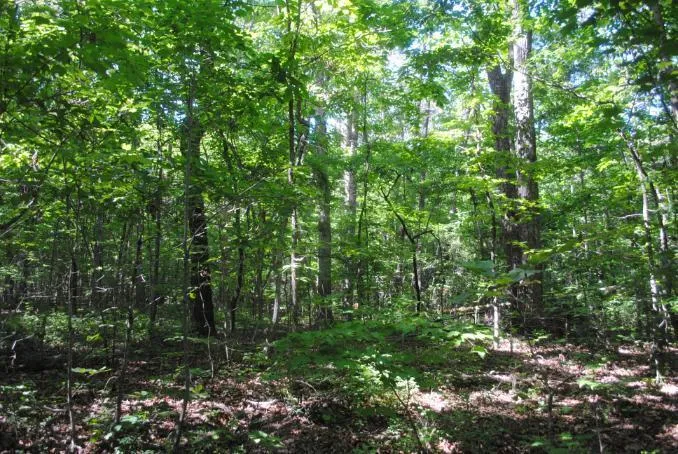 S Marble Top Road Chickamauga, GA 30707