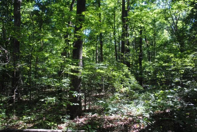 S Marble Top Road Chickamauga, GA 30707