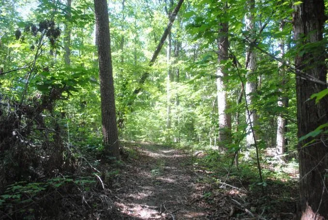S Marble Top Road Chickamauga, GA 30707