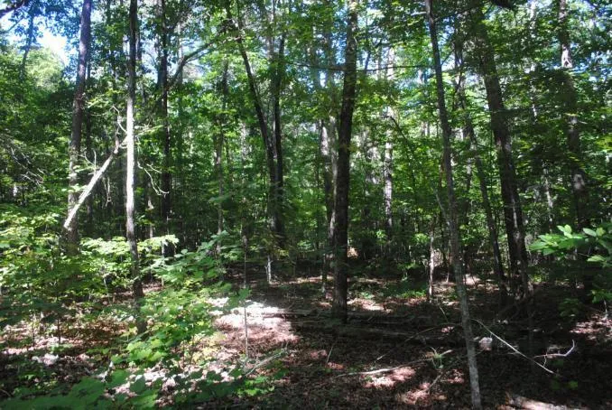 S Marble Top Road Chickamauga, GA 30707