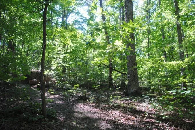 S Marble Top Road Chickamauga, GA 30707