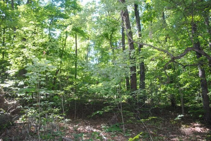 S Marble Top Road Chickamauga, GA 30707