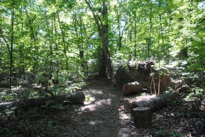 S Marble Top Road Chickamauga, GA 30707