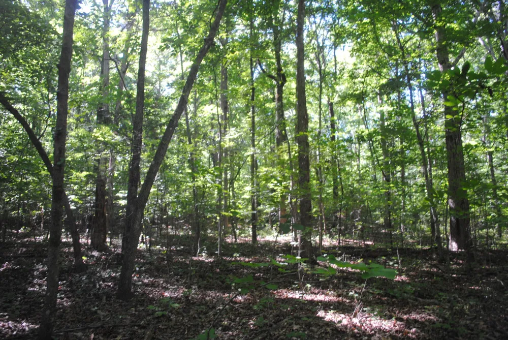 S Marble Top Road Chickamauga, GA 30707