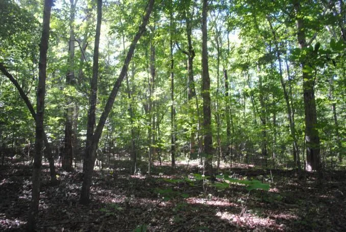 S Marble Top Road Chickamauga, GA 30707