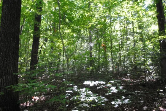 S Marble Top Road Chickamauga, GA 30707