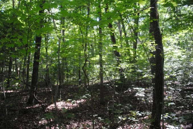 S Marble Top Road Chickamauga, GA 30707