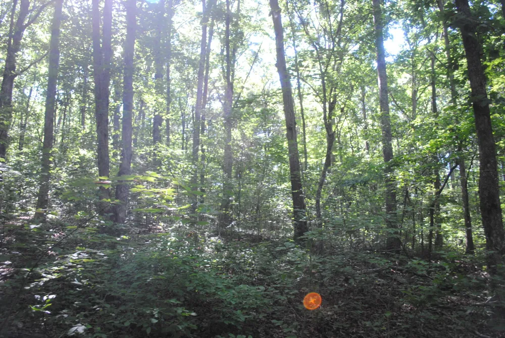 S Marble Top Road Chickamauga, GA 30707